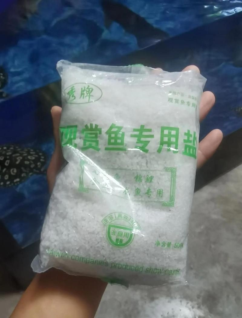 皇冠魟魚怕鹽嗎 龍魚論壇 第1張 皇冠魟魚怕鹽嗎 皇冠魟魚怕鹽嗎 龍魚論壇 第1張