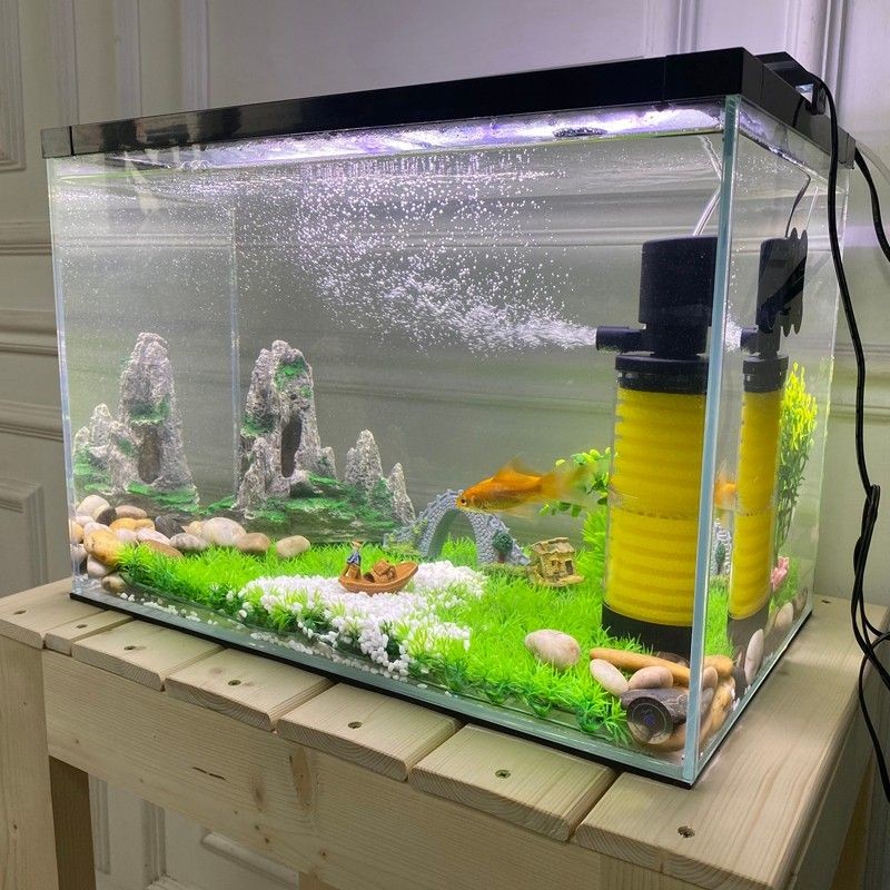 十大品牌魚缸：2024年十大品牌水族箱