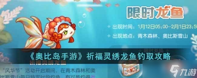 如何找到更多龍魚比賽資源？