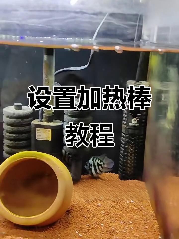 如何設置加熱棒以保持恒溫？