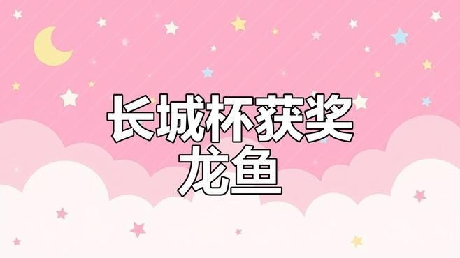 有沒有其他龍魚比賽的冠軍視頻？