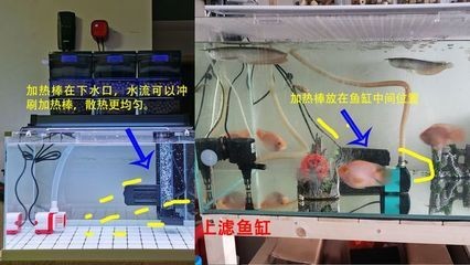 魚缸加熱器安裝視頻：如何維護魚缸加熱器，魚缸加熱器使用注意事項