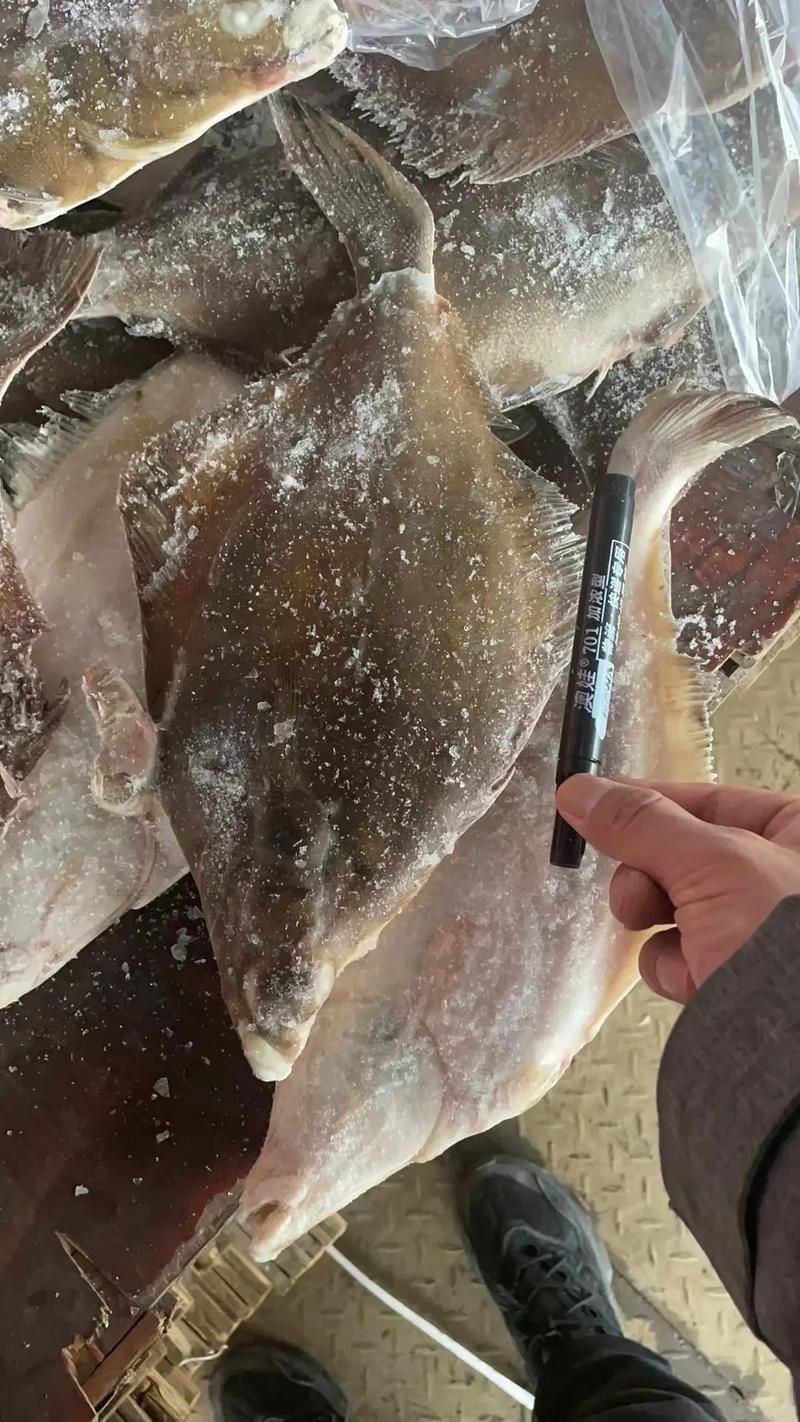 蝴蝶魚的真實圖片