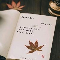 蝴蝶魚的真實圖片
