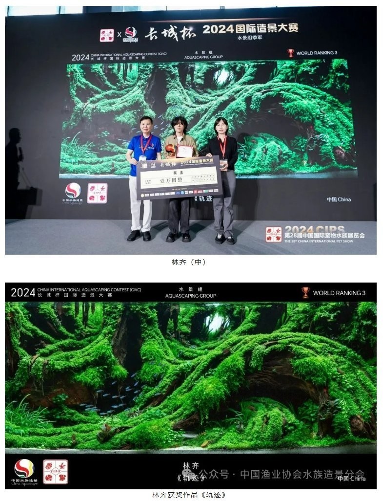第二屆長城國際水族造景大賽有哪些參賽國家？ 第二屆長城國際水族造景大賽有哪些參賽國家？ 2025長城杯龍魚大賽 第2張