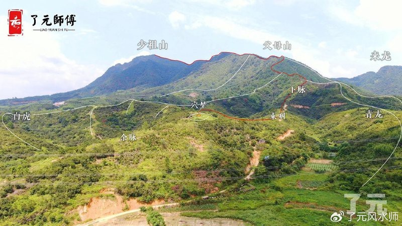 生龍風水案例中哪個最著名？ 生龍風水案例中哪個最著名？ 龍魚論壇 第1張