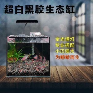 魚缸選哪種好一點(diǎn)（如何選擇一個(gè)適合自己的魚缸） 魚缸選哪種好一點(diǎn)（如何選擇一個(gè)適合自己的魚缸） 魚缸百科 第2張