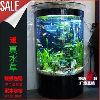 魚缸選哪種好一點(diǎn)（如何選擇一個(gè)適合自己的魚缸） 魚缸選哪種好一點(diǎn)（如何選擇一個(gè)適合自己的魚缸） 魚缸百科 第1張