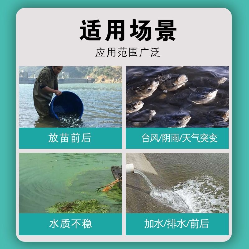 魚缸vc多長時(shí)間放一次：關(guān)于魚缸維生素c的投放頻率主要有兩種觀點(diǎn)有建議 魚缸vc多長時(shí)間放一次：關(guān)于魚缸維生素c的投放頻率主要有兩種觀點(diǎn)有建議 魚缸百科 第5張