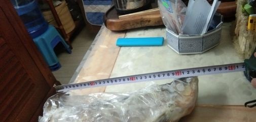 金龍魚身體彎曲頭下沉【金龍魚身體彎曲頭下沉可能是由多種原因造成的】