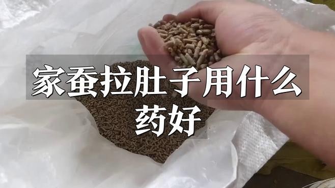 馬豆蠶道益生菌使用方法