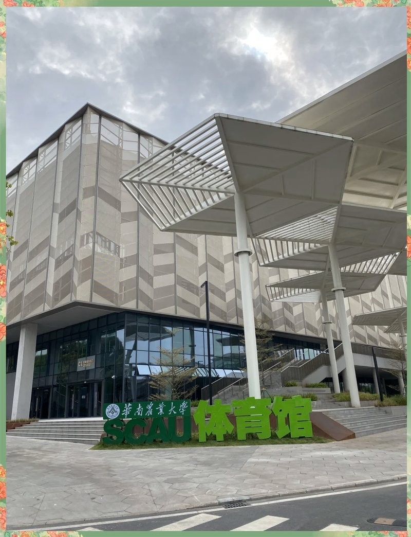 廣州龍魚籃球隊的主場在哪里？