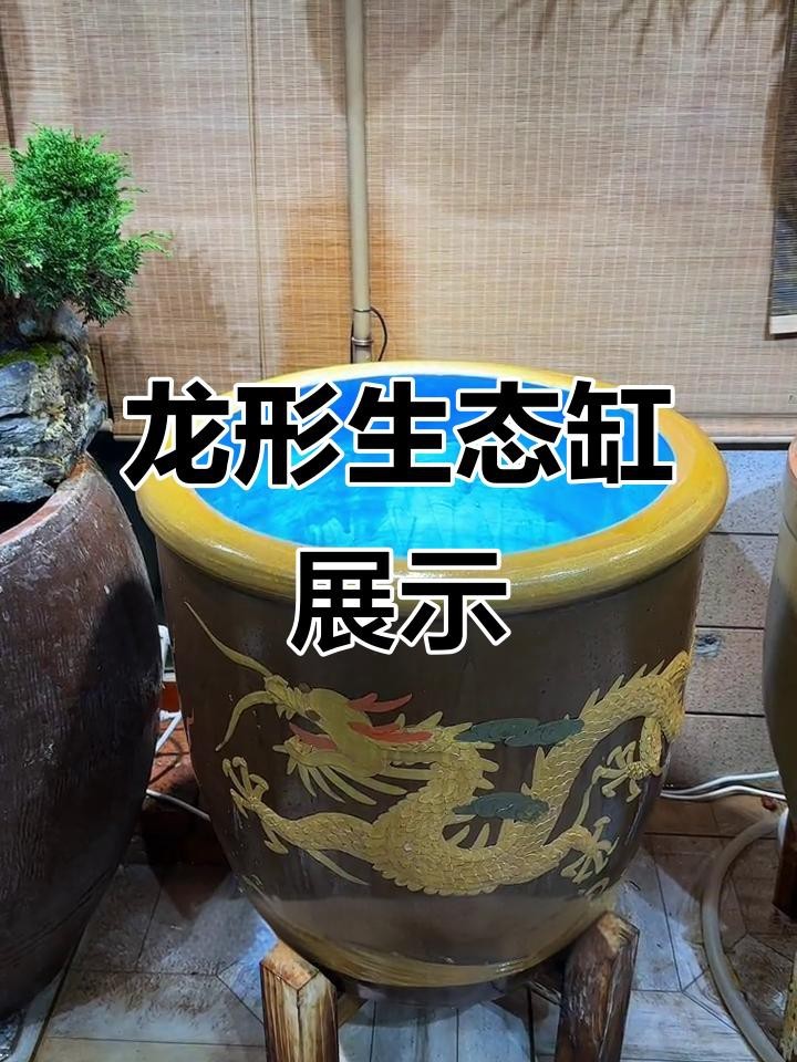 推薦幾款帶有龍圖案的魚缸