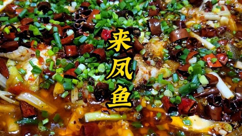 鳳魚圖片及價格