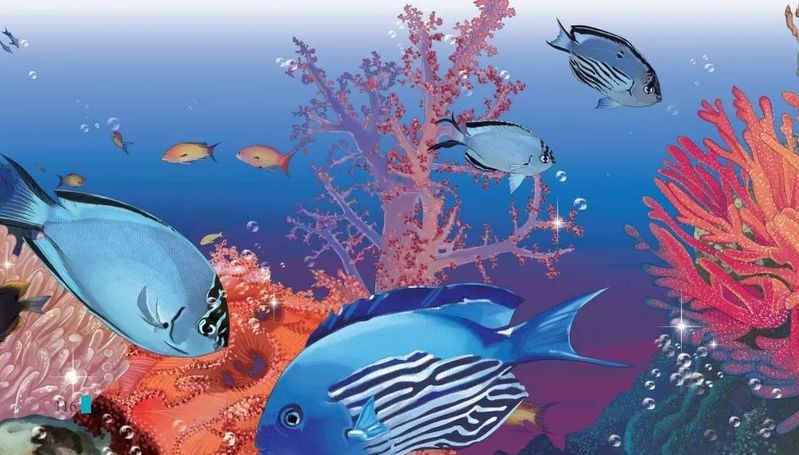 神仙魚品種大全圖解