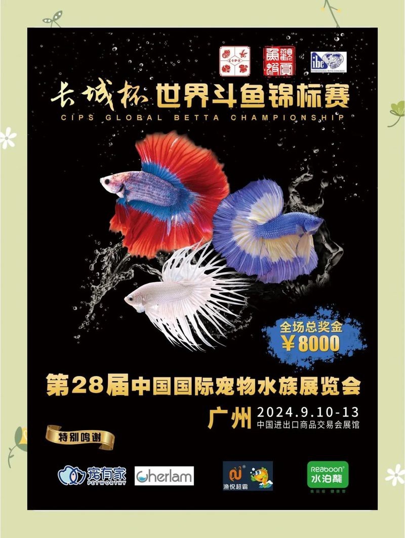 斗魚賽級什么意思