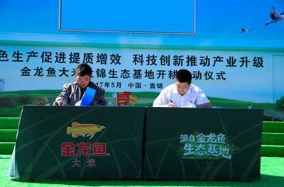 金龍魚比賽評判標準最新版是什么樣的：福州金魚大賽裁判長揭秘蘭壽評分標準蘭壽評分標準