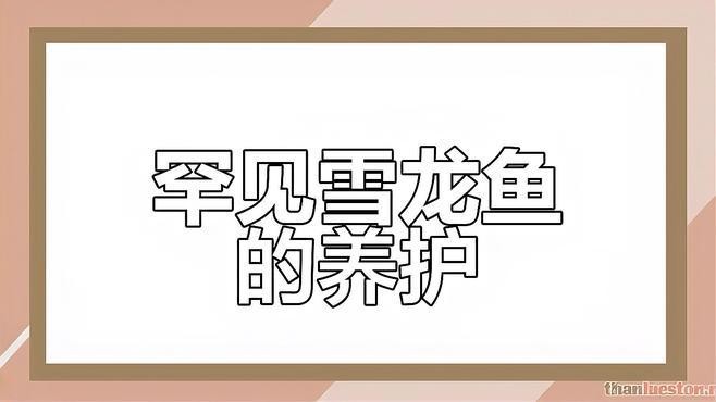 雪龍魚又叫什么魚圖片大全