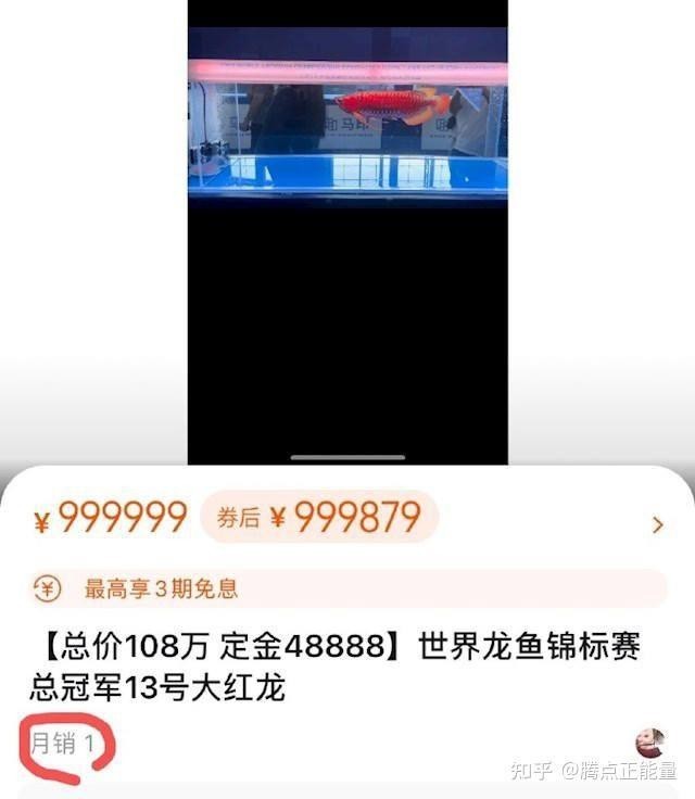 長城杯龍魚比賽的歷史成績