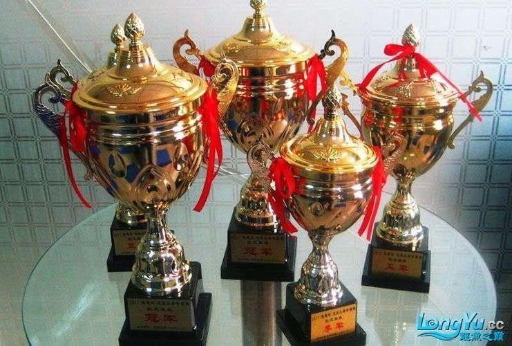 紅龍比賽冠軍魚高清圖 2025長城杯龍魚大賽 第28張 紅龍比賽冠軍魚高清圖 紅龍比賽冠軍魚高清圖 2025長城杯龍魚大賽 第28張