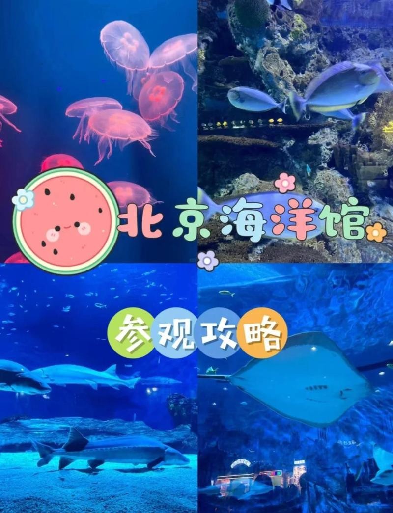 北京水族展2025年時間