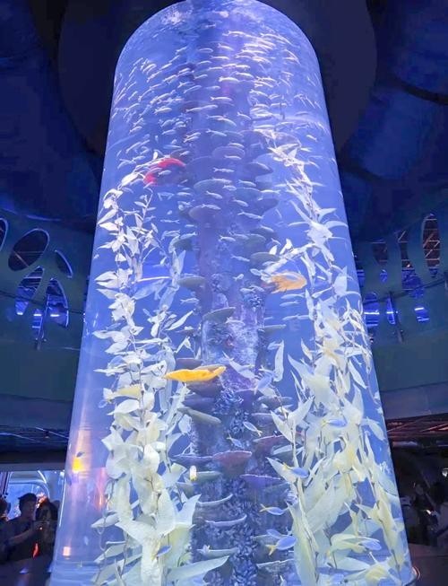 如何預約廣州國際水族展覽會的門票？ 如何預約廣州國際水族展覽會的門票？ 2025長城杯龍魚大賽 第9張