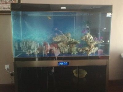 漢霸魚缸質量差怎么辦?。宏P于“漢霸魚缸質量差”的問題沒有找到直接的相關信息