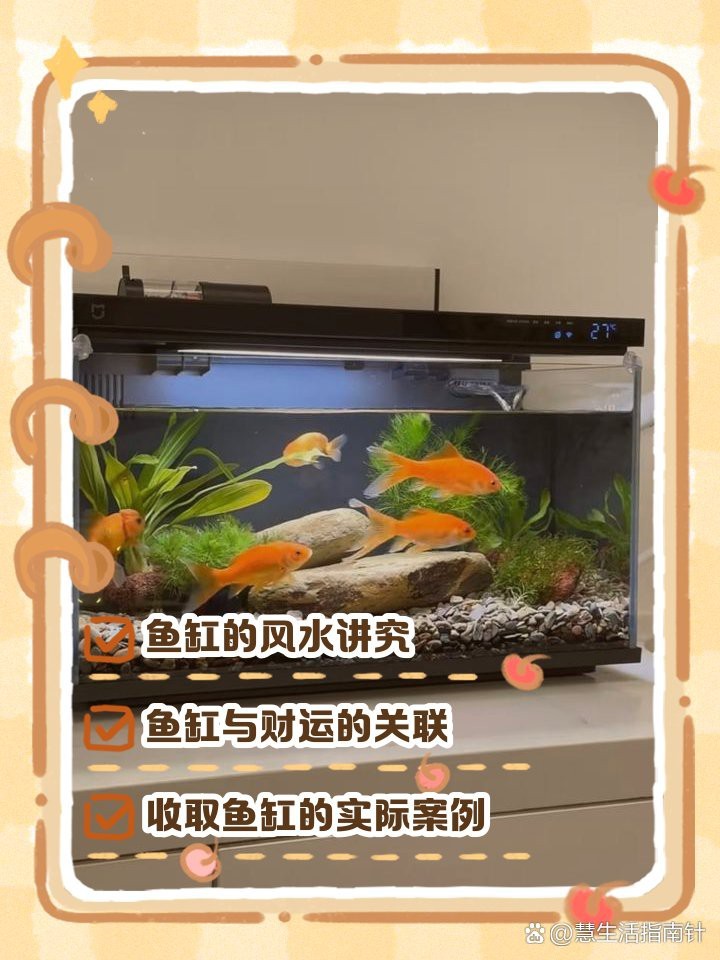 收了別人送的魚會破財嗎