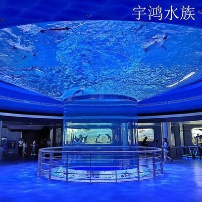 海洋館設計的藝術與科學海洋館設計中的亞克力魚缸：亞克力魚缸設計的藝術與科學海洋館設計的藝術與科學