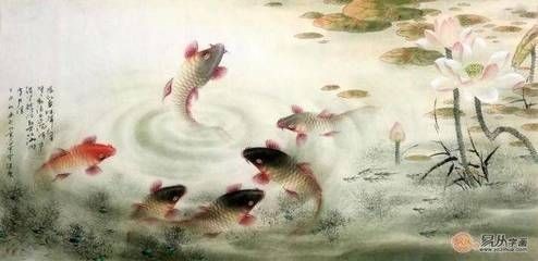 龍魚魚缸價格：吉林龍魚魚缸，打造高端觀賞魚養(yǎng)殖的藝術(shù)空間