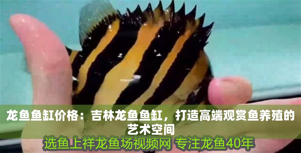 龍魚魚缸價(jià)格：<strong><mark>吉林</mark></strong>龍魚魚缸，打造高端觀賞魚養(yǎng)殖的藝術(shù)空間