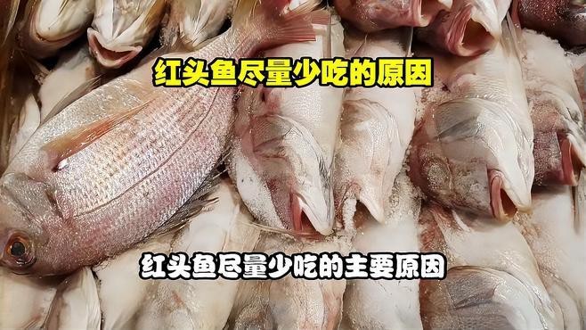 紅頭魚為何要盡量少吃