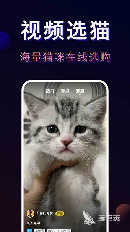 哪個平臺賣寵物最可靠？