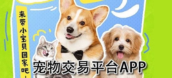 哪個平臺賣寵物最可靠？
