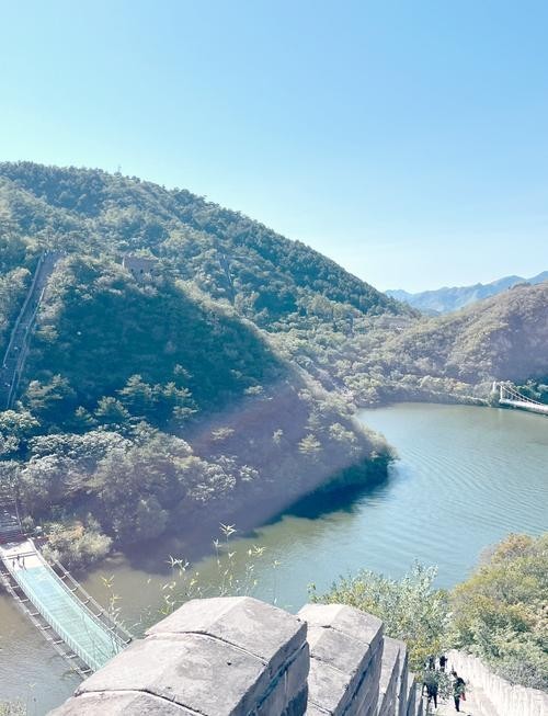 水長(zhǎng)城寵物介紹及價(jià)格