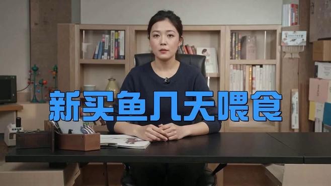 龍魚換缸后多久開始喂食？