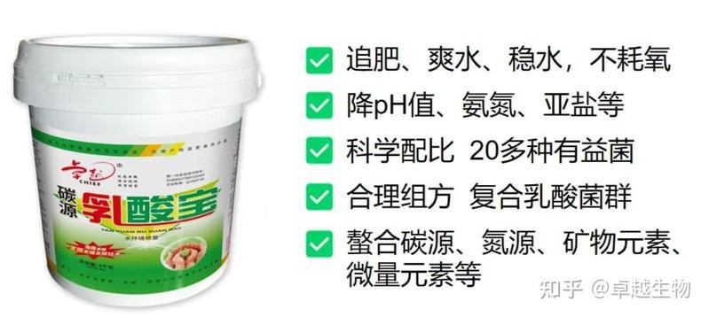 澳龍魚養殖需要哪些輔助設施？