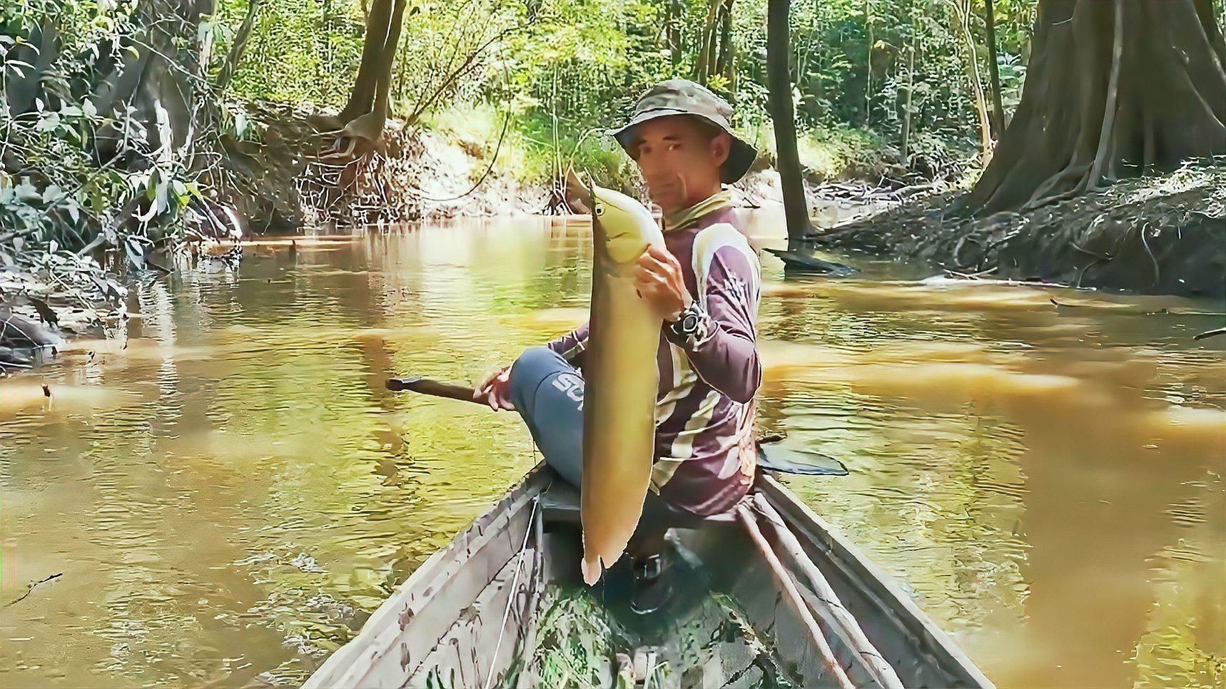 銀龍魚魚苗多少錢一條圖片大全 銀龍魚魚苗多少錢一條圖片大全 龍魚百科 第1張