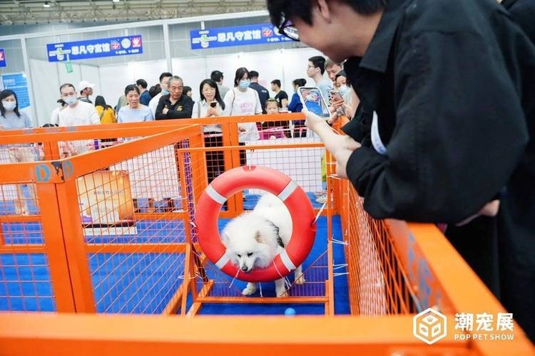 如何獲取2025廣州寵物展會的門票？ 如何獲取2025廣州寵物展會的門票？ 2025長城杯龍魚大賽 第6張