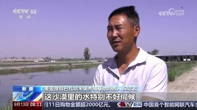 觀賞蝦怎么養(yǎng) 觀賞蝦怎么養(yǎng) 2025長城杯龍魚大賽 第3張