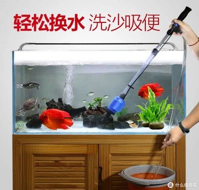 魚缸清潔工具選擇指南：關于魚缸清潔工具選擇的指南