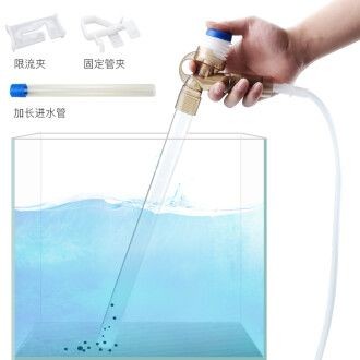 紅龍魚等級如何劃分？