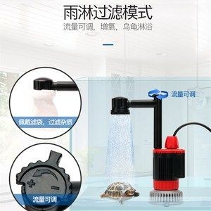 紅龍魚等級如何劃分？