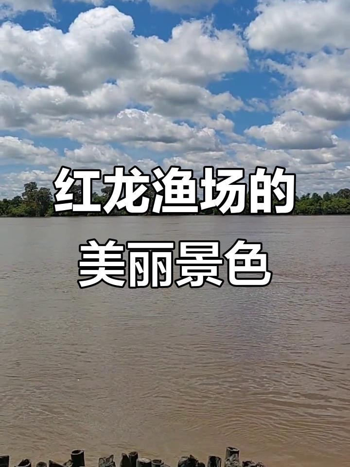 給我推薦一些紅龍魚場 給我推薦一些紅龍魚場 龍魚論壇 第2張