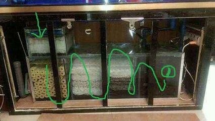 給魚缸打孔（給魚缸打孔的步驟與注意事項） 給魚缸打孔（給魚缸打孔的步驟與注意事項） 魚缸百科 第1張