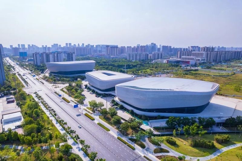紅龍隊2025年有哪些比賽？