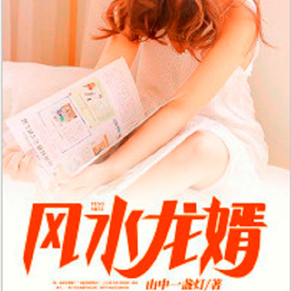 風水龍婿