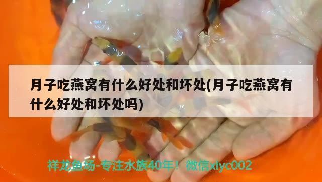 <strong><mark>昆明</mark></strong>市盤龍區恒通水族店