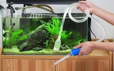 給大魚缸換水的簡便方法（大魚缸換水族生態系統需要注意科學的方法與誤區）