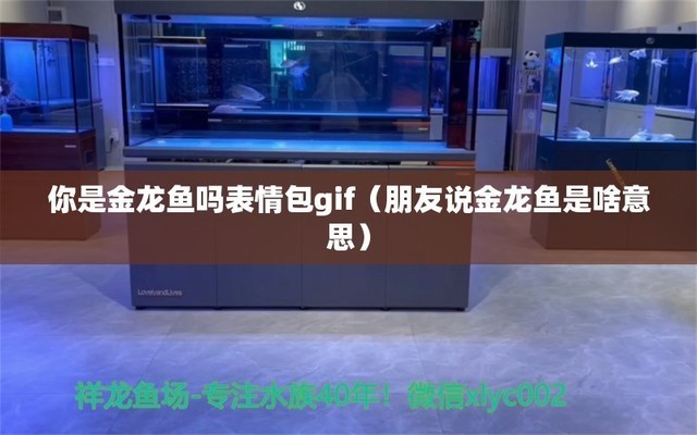 重慶新視覺園林藝術工程發展有限公司（重慶新視覺園林藝術工程發展有限公司招聘）